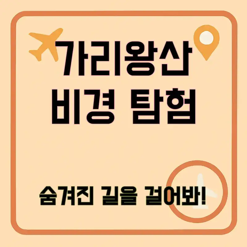 가리왕산 휴양림, 숨겨진 비경을 찾아서!