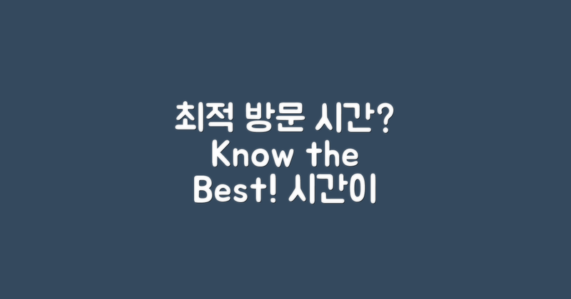 방문 시 최적의 시간은?