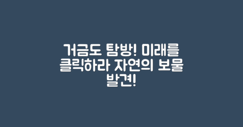 먼저 거금도를 알아보세요