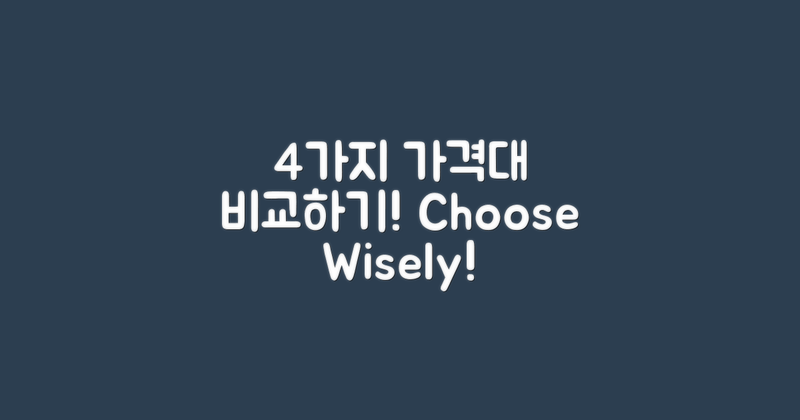 4가지 가격대 비교