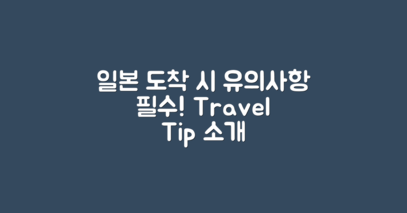 일본 도착 시 유의사항