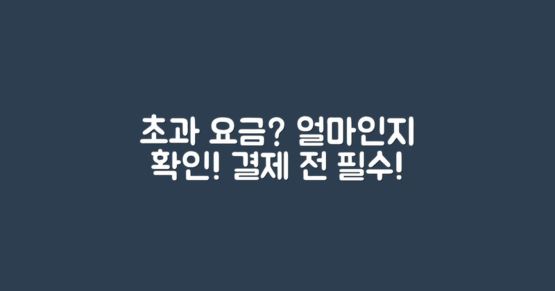 초과 요금은 얼마일까?