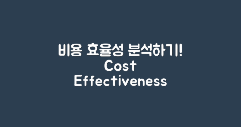 비용 대비 효율성 분석