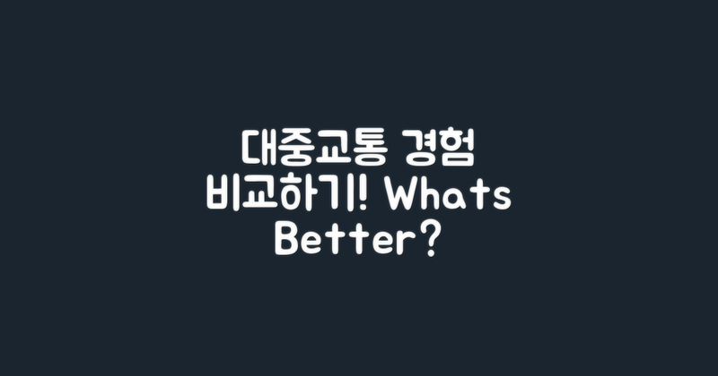 대중교통 이용자 경험 비교