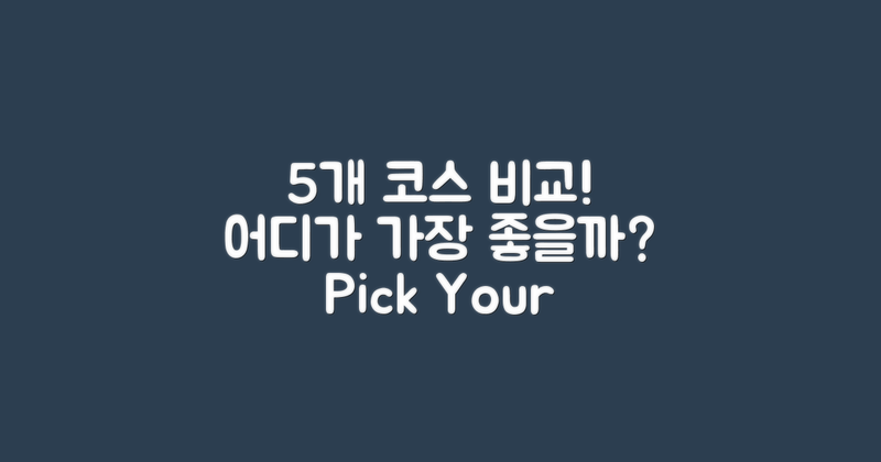 5개 코스 비교 분석