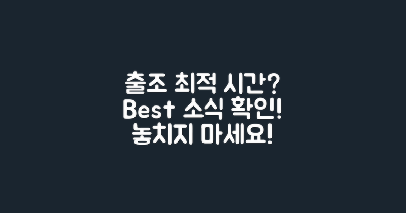 최적의 출조 시간은?