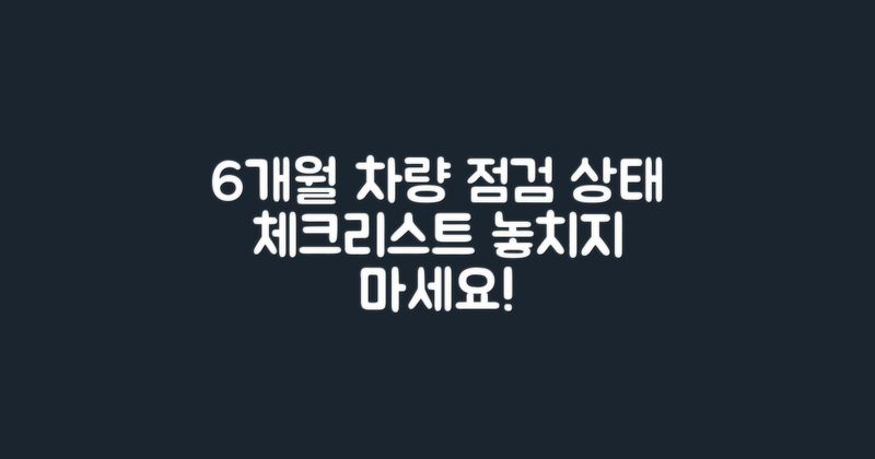 6개월 차량 상태 체크리스트