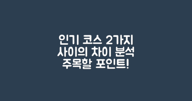 2가지 인기 코스 분석