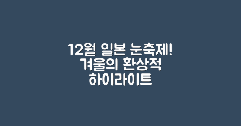 12월의 일본 눈축제 하이라이트
