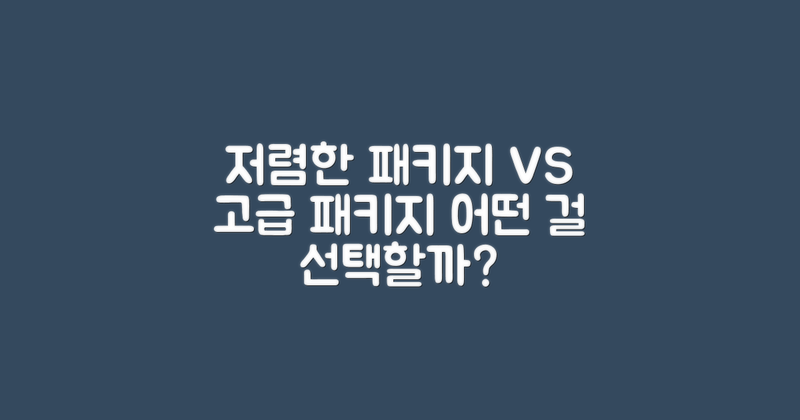 저렴한 패키지 vs 고급 패키지 비교