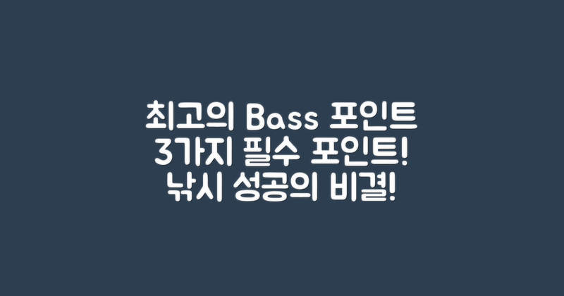 3가지 최고의 배스 포인트