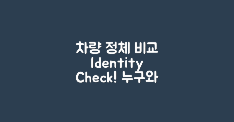 차량 정체성 비교