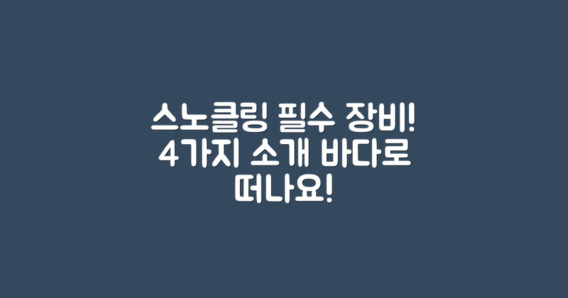 4가지 스노클링 장비 소개