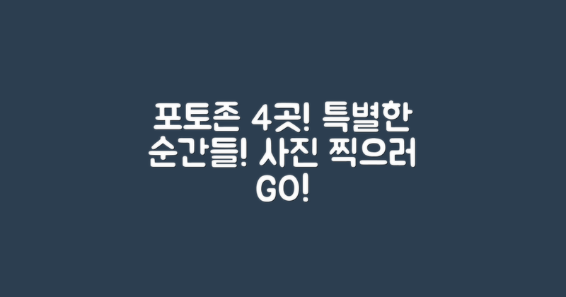 4개의 포토존 위치