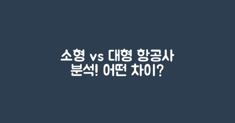 소형 vs 대형 항공사 분석