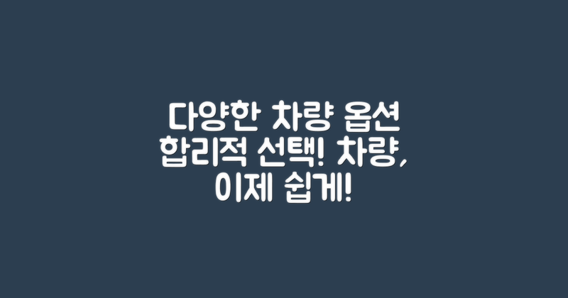 다양하고 합리적인 차량 옵션