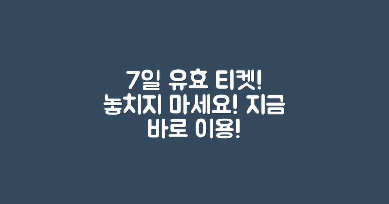 7일 동안 유효한 티켓