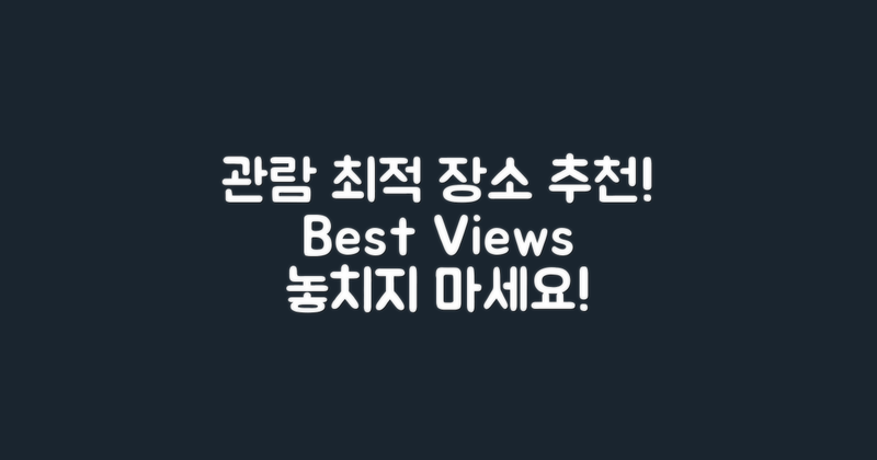 관람 최적 장소 추천