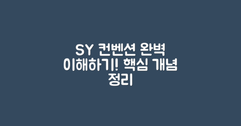 SY컨벤션 개념 이해하기