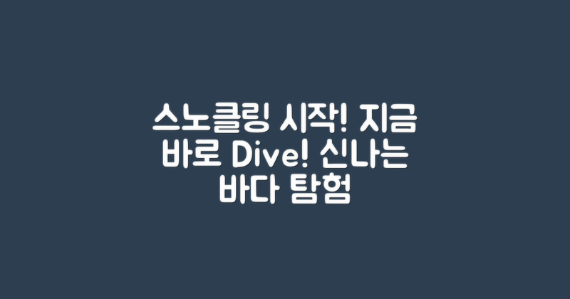 지금 스노클링 시작하세요