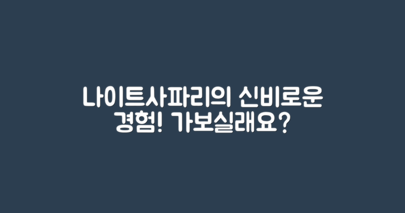 나이트사파리는 어떤 경험일까?