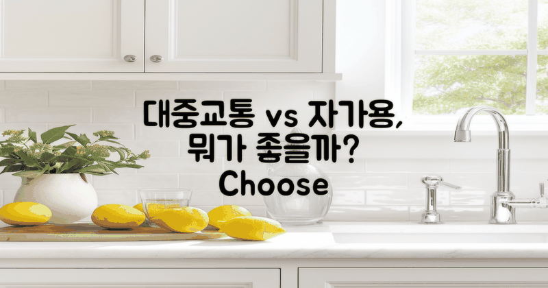대중교통 vs 자가용 이용