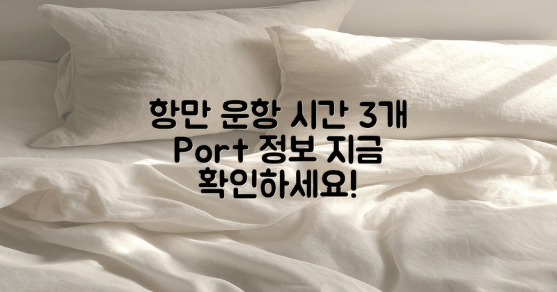 3개 항만 운항 시간