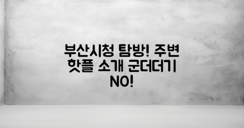부산시청 주변 탐방하세요