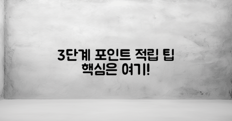 3단계 포인트 적립 팁