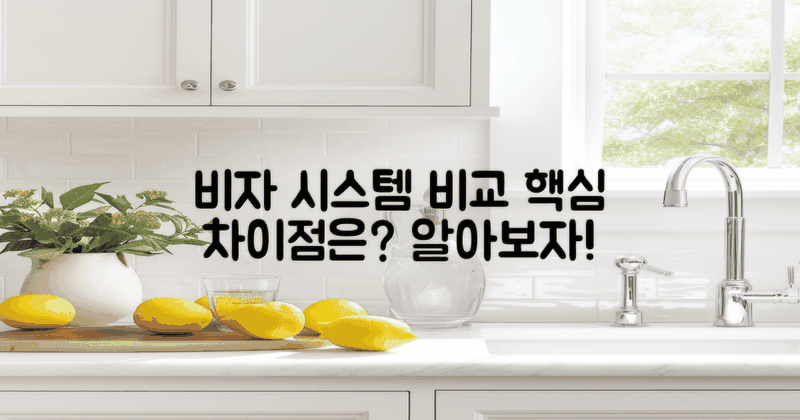 비자 시스템과의 차이점