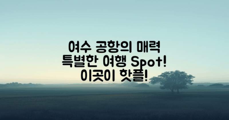 여수 공항의 특별한 매력