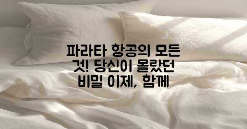 파라타 항공은 무엇일까?