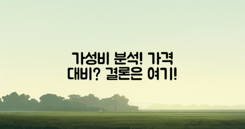 가격 대비 가성비는 어떤가?