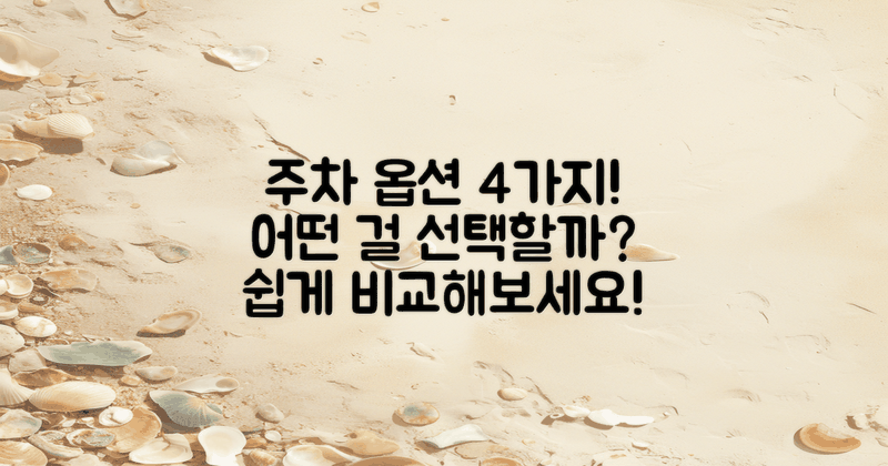 4가지 주차 옵션