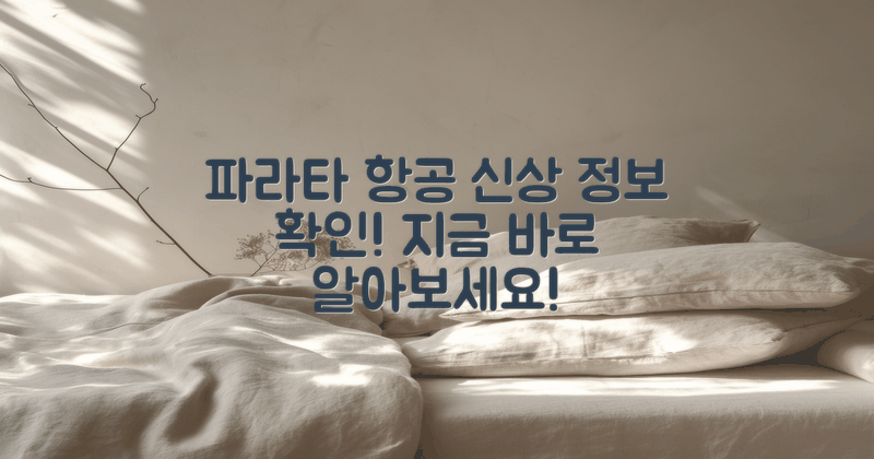 먼저 파라타 항공 알아보세요