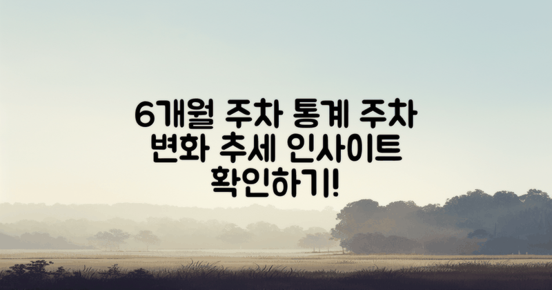 6개월 간 주차 통계