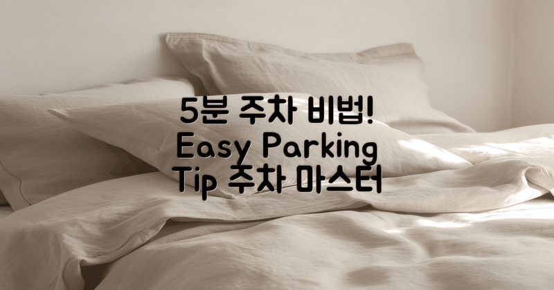 5분 만에 주차하는 법