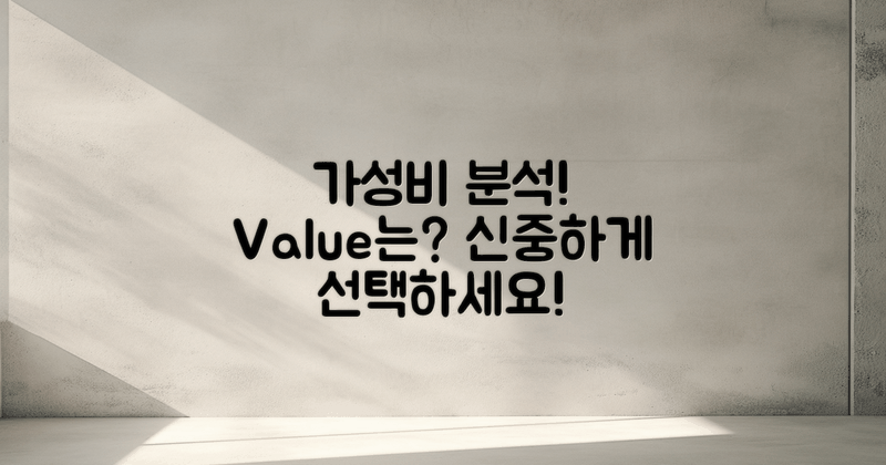 가격 대비 가치는 어떨까?