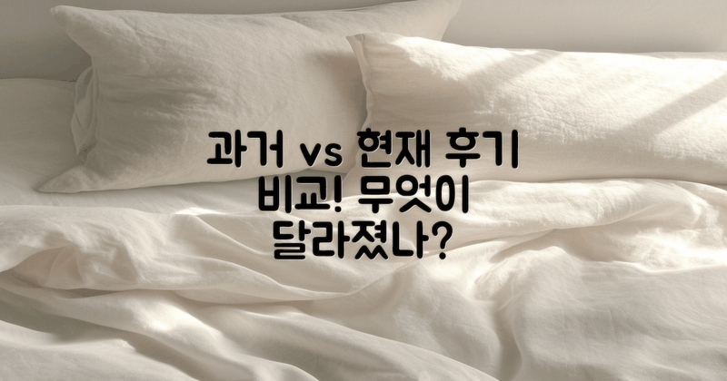 과거와 현재 후기 비교