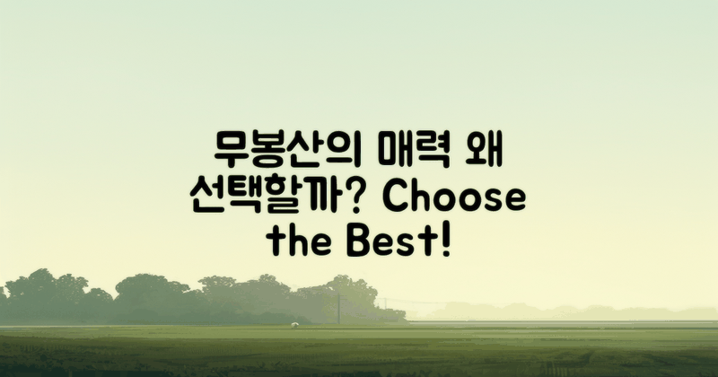 왜 무봉산을 선택할까?