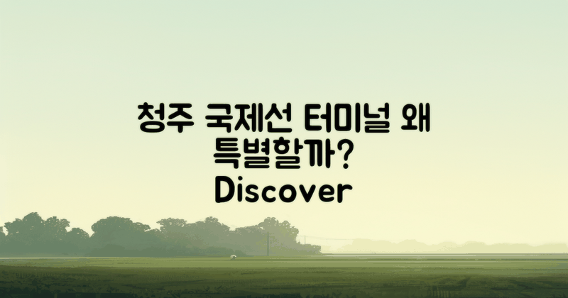 청주 국제선 터미널은 왜 특별할까?