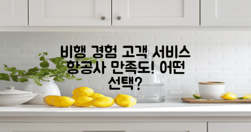 비행 경험 vs 고객 서비스
