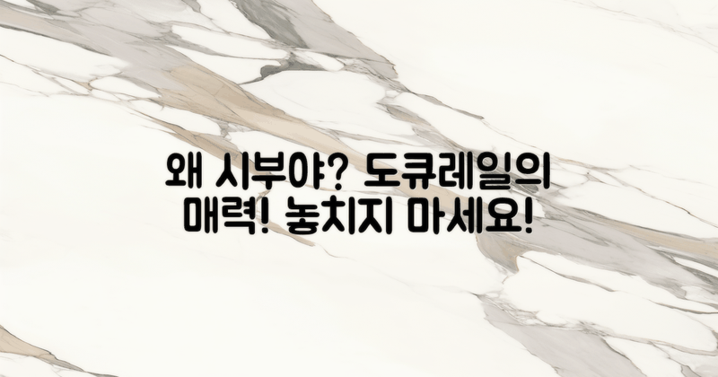 왜 시부야도큐레이일까?