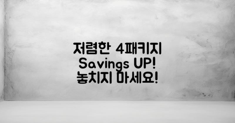 4가지 저렴한 패키지