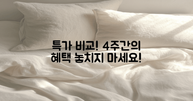 4주간의 특가 비교