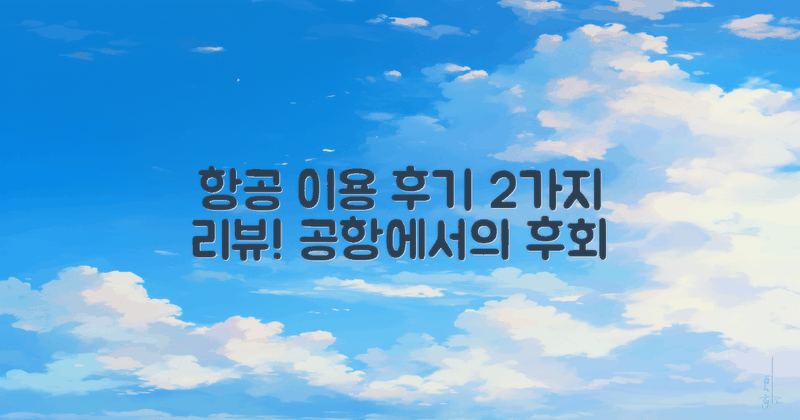 2가지 항공 이용 후기