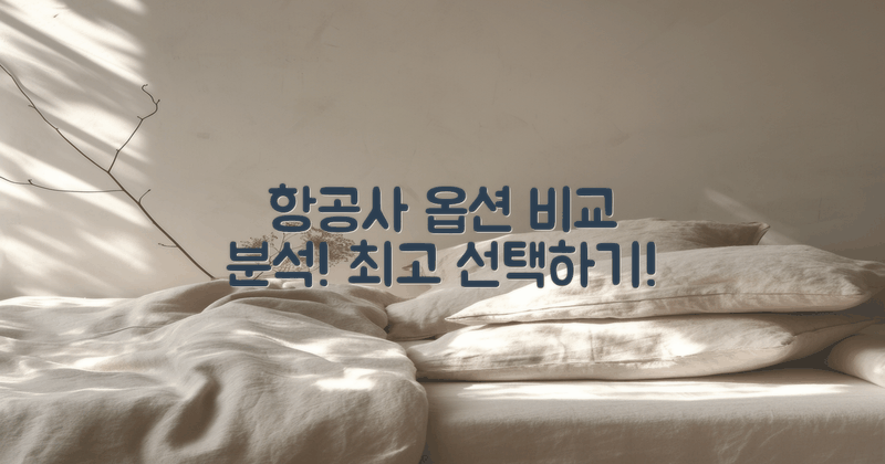 다양한 항공사 옵션 분석