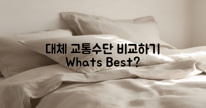 대체 교통수단 비교