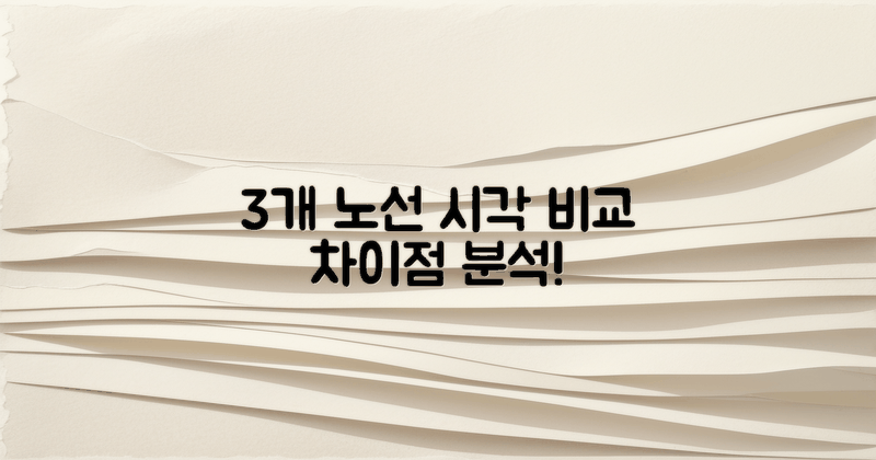 3개 노선 시각 비교