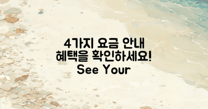 4가지 요금 안내